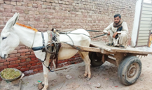 Loader  Rickshaw