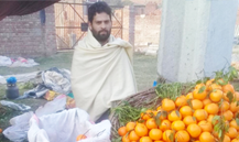 Fruit shop