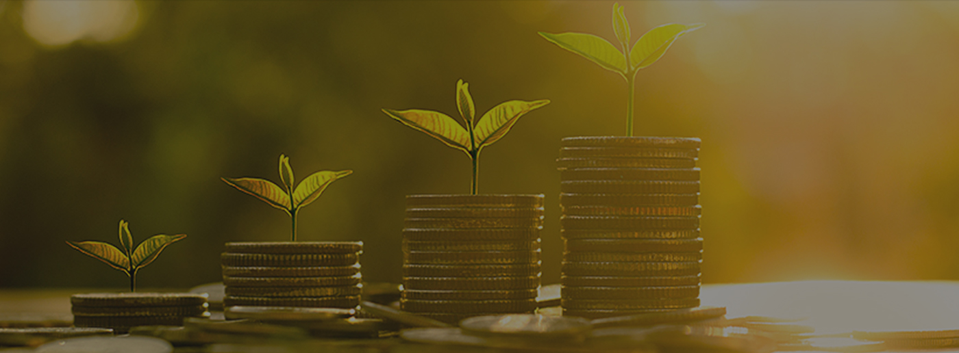 Borrower application