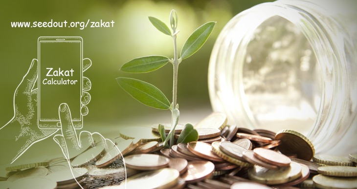 Zakat Calculator on Seed Out