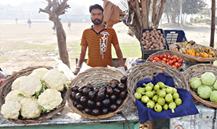 Vegetable Shop 