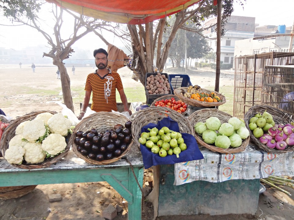Vegetable Shop 