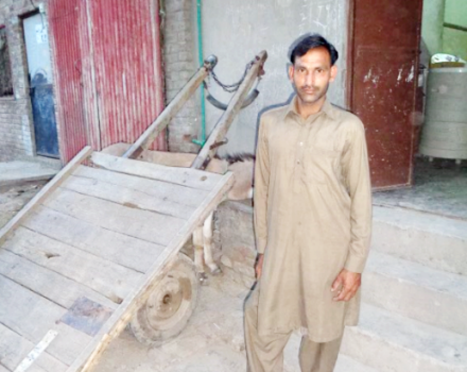 Fruit Shop expansion