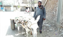 Loader Rickshaw