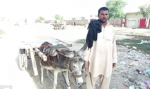 Loader Rickshaw