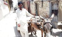 Loader Rickshaw