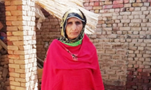 Zarina Shabir