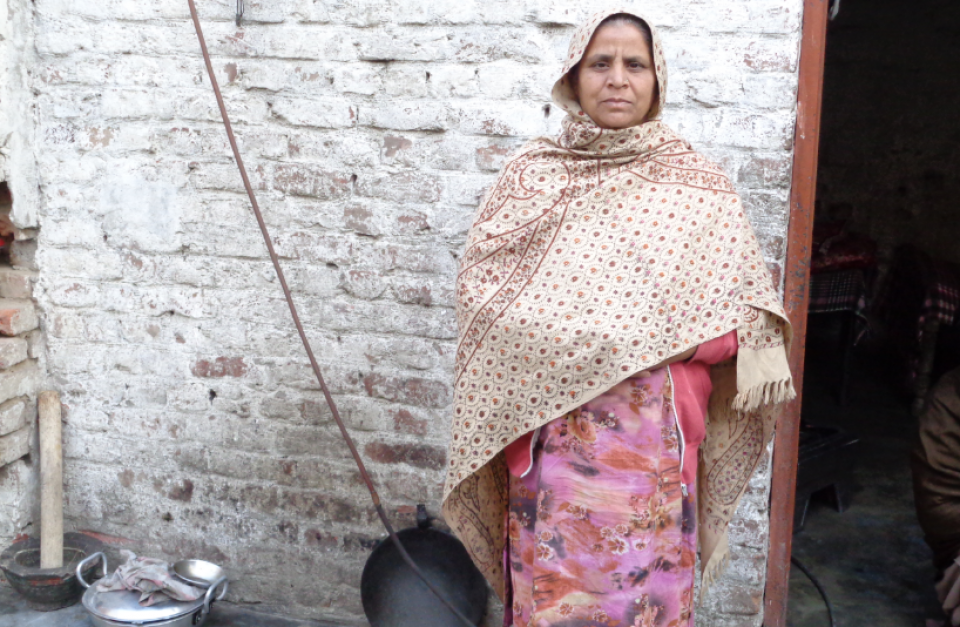 Sarwar Bibi - Business established