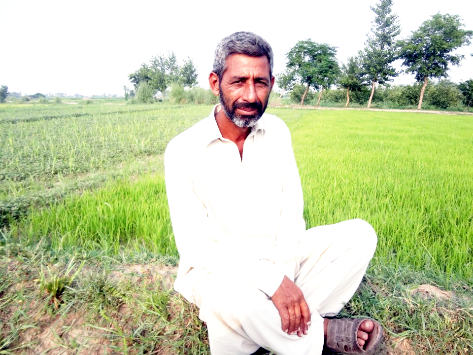 Getting business shield