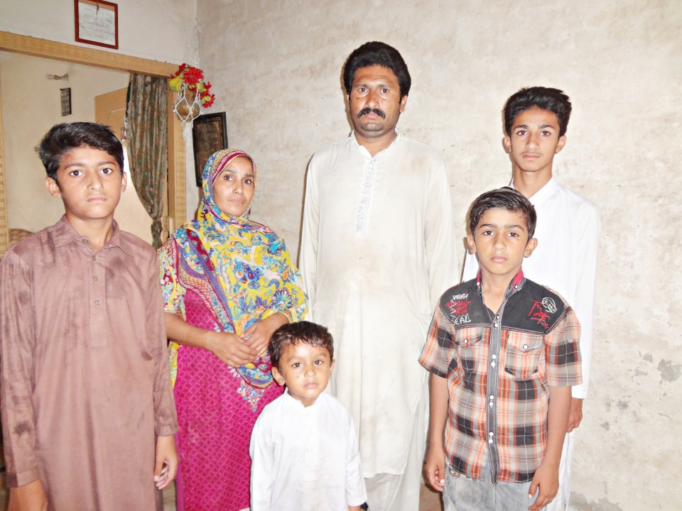 Box packing business expansion